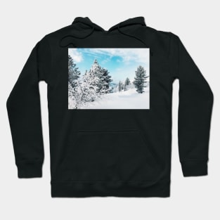 Frozen White Winter Landscape in Rondane National Park (Norway) Hoodie